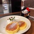 タローキティを連れて葉加瀬太郎コンサートに行ってきました