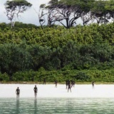 【悲報】人類、未だに北センチネル島を攻略できない・・・。