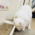 Megさんのお当番日記『返り討ち』