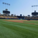 『この「喪失感」をなんとしよう』の画像