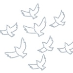 助けて！　ベランダに鳩が来るの！