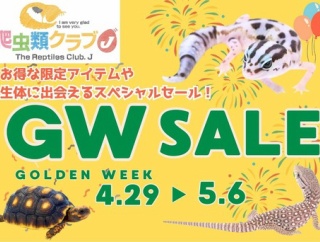 【4/29～5/6はＧＷセール！！追加情報】