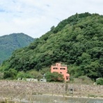 NPO犬猫みなしご救援隊・代表ブログ・みなしご庵へようこそ