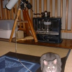 『2021年末特集③～天文ネコ３態　2021/12/31』の画像