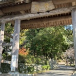 あだると山の会