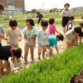 苗とり　田植え