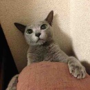 訃報☆