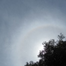 halo