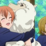 【マジ注意】一人旅女性「ボリビア・ラパスのホステルで求愛されてアルパカのぬいぐるみもらった！可愛い！日本に連れ帰りたい」　→　実は恐ろしい◯◯の危険性が…