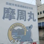 小笠原父島　オガツアーのブログ３