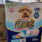 おうちが好きすぎて