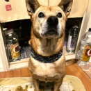 ６年越しの飲み会