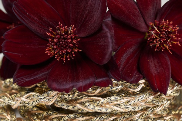 Sympathie Works【SW25】Osiris オマケ付 $_12.JPG?set_id=880000500F