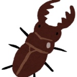 【画像】クワガタとかいう発展途上な生物ｗｗｗ