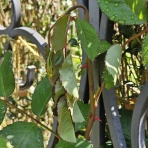 季節を追いかけて…