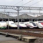 ZAPZAP！ 世界の面白いニュース