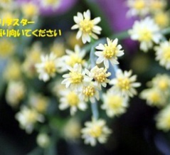 暦‐2026年9月4日