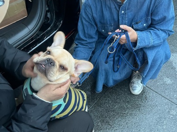 赤坂サカスその3です💕💕