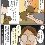 飼い犬ティアラが病気になった話⑨手術の結果