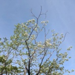 自然体で行こうじゃないか！