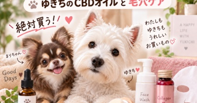 【楽天SS購入品】ゆきちが雷を克服したCBDオイルと、毛穴大ピンチからの脱却スキンケア！