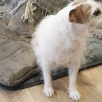 華・あず＆レン