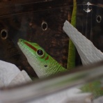 まるめのブログ