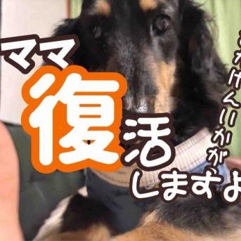 ぼちぼち復活しますよ。