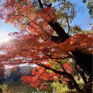 公認会計士武田雄治のブログ