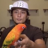 ダルビッシュさん、小鳥を飼う🦜 	