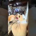 朝の仲良し兄弟。