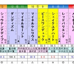 中日新聞杯　予想