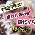 コイツはごまかせない。