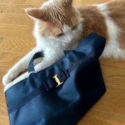 メルちゃん、バッグを持ってお出かけですか？