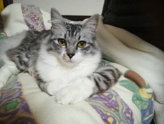 俺「父と父彼女を自宅に3日ほど招きたい」嫁「ダメ」→2人目が産まれたから会わせたいんだ。親父も早く会いたがってる…。