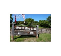森林公園