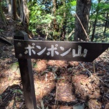 『6月屋久島遠征の練習です・・ポンポン山編』の画像