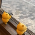 今を生きる私に何ができるのか？