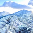 お山の写真は。