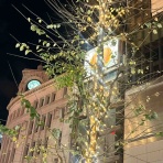    フシ穴の眼 〜スポーツ疾風怒濤編〜