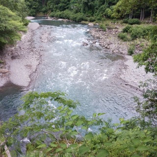 つり吉オヤジの日高川龍神鮎・あまご情報
