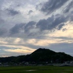 THE GARDEN ブログ