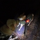 冬らしく寒い1日