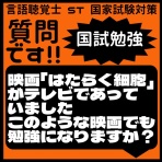 言語聴覚士 ST 国家試験対策ブログ(stkokushi)