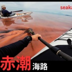 三浦ｄｅシーカヤック sea to summit