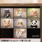 【就活】スーツ指定のZOOM説明会の現実ｗｗｗｗｗｗｗｗｗｗｗｗｗ