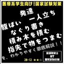 28-12 発達　腹ばい　一人立ち　なぐり書き　積み木を積む　指先で物をつまむを、わかりやすく徹底解説！！