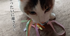 ショートってめっちゃラク。と、淡い紫の鉱石つくりました。