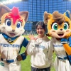 見慣れたはずの景色が…Ｆビレッジアンバサダーとして緊張の初鳴き／滝谷美夢のみゆダイアリー