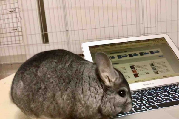 ちんちら中心生活 一人暮らし女の嗜み 19年07月